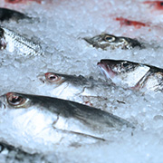 冷庫(kù)冷藏行業(yè)應(yīng)用